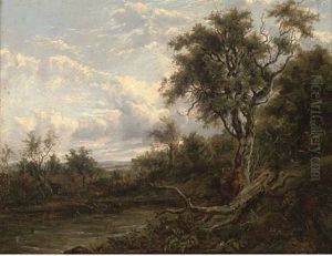 A Fallen Branch On A River Bank