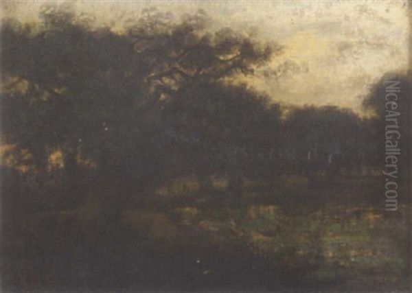 Landscape At Dusk - view 1