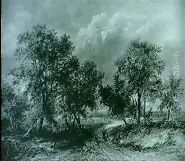Road Through Woods - view 1