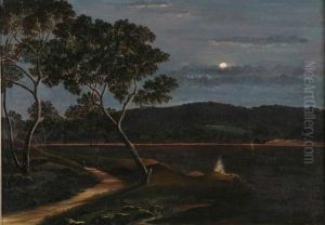 One Tree Hill From Spring Gully Reservoir by William Binzer