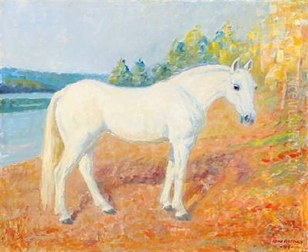 A White Horse - view 1