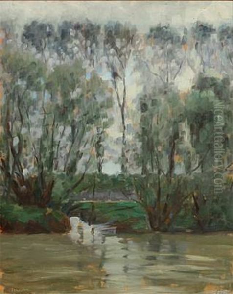 Tall Trees By A River - view 1