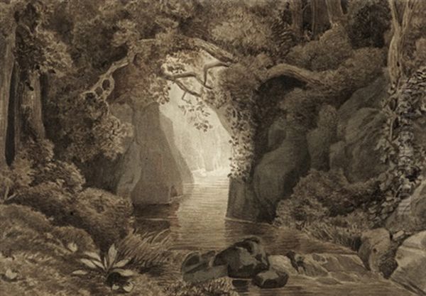 Bewaldete Schlucht Mit Schmalem Bachlauf - view 1
