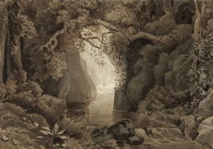 Bewaldete Schlucht Mit Schmalem Bachlauf by Christoph Nathe