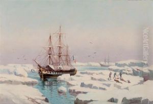 L"astrolabe Et La Zelee