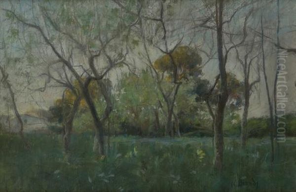 Alberi In Campagna - view 1