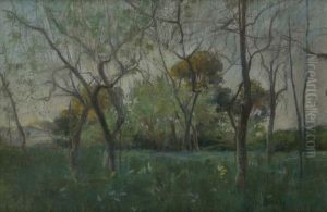 Alberi In Campagna by Nicola Biondi