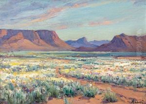 Namaqualand Landscape by Pieter Hugo Naude