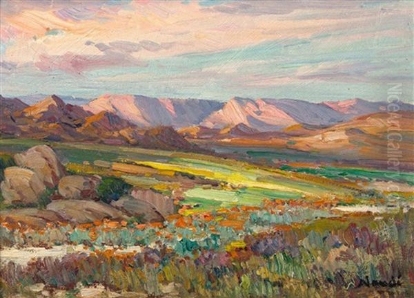 Springtime In Namaqualand - view 1