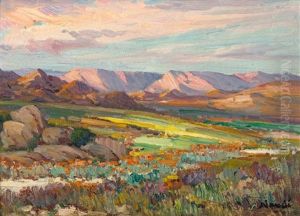 Springtime In Namaqualand by Pieter Hugo Naude