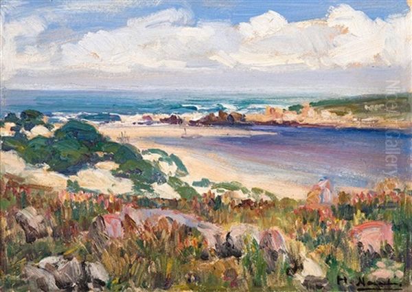 Palmiet River - view 1