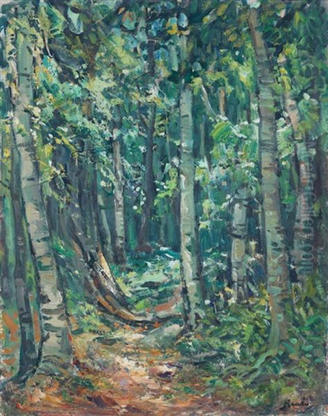 The Forest At Kynsna - view 1