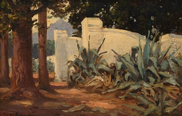 Old Gates At Paarl - view 1