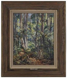 Knysna Forest