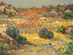 Namaqualand