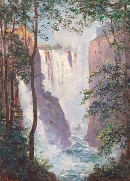 The Victoria Falls - view 1