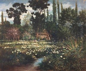 Gathering Arum Lilies Gathering Arum Lilies