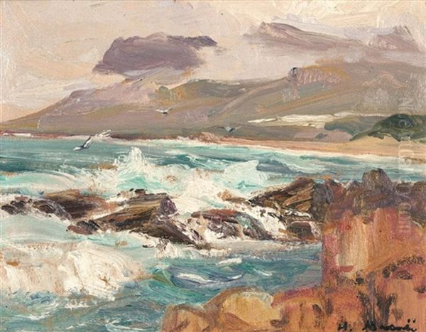 Breaking Waves With Seagulls, Hermanus - view 1