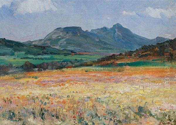 Namaqualand In Spring - view 1