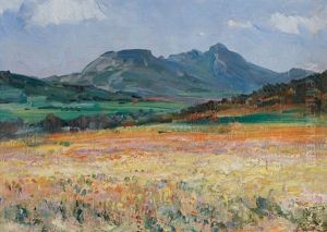 Namaqualand In Spring