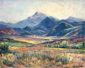 Springtime In Namaqualand