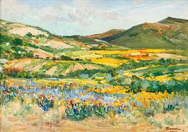 Namaqualand In Spring - view 1