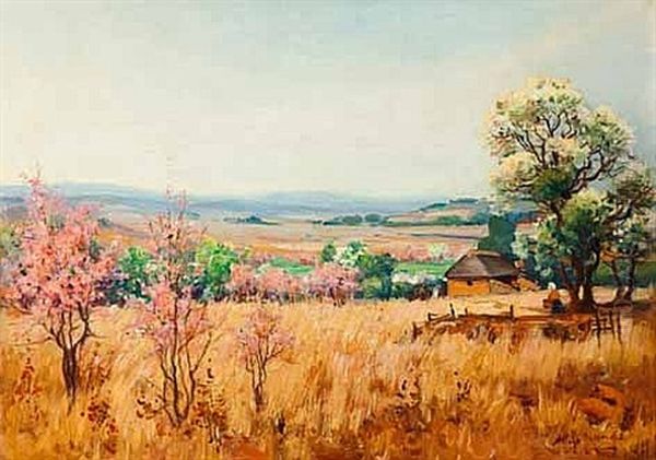 Transvaal Highveld, Spring - view 1