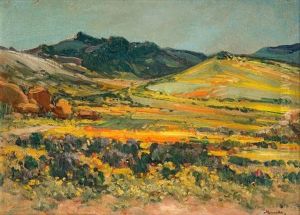 Springtime, Namaqualand