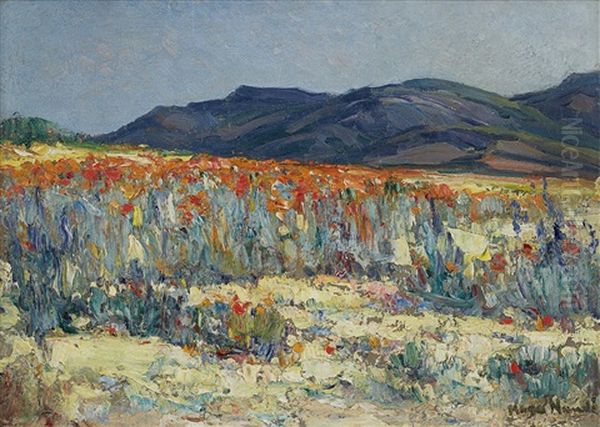 Springtime, Namaqualand - view 1