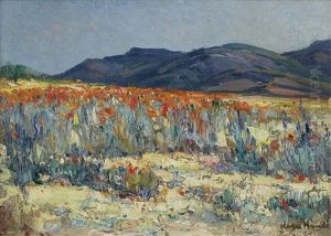 Springtime, Namaqualand