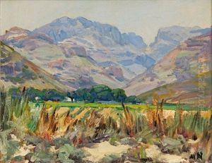 Wemmer's Hoek