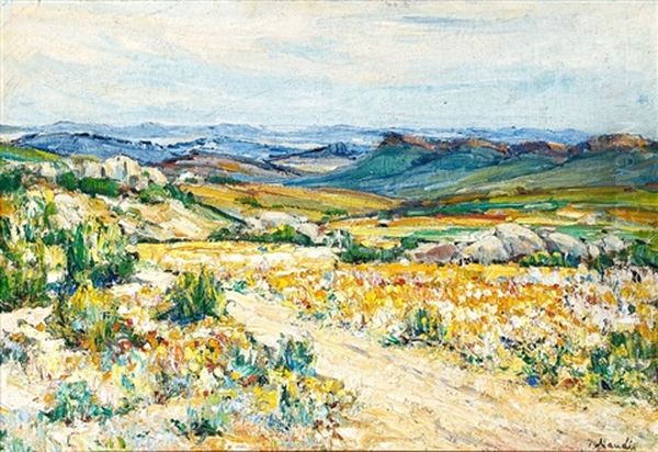 Namaqualand In Spring - view 1