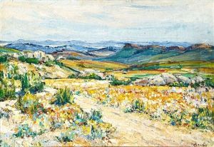 Namaqualand In Spring