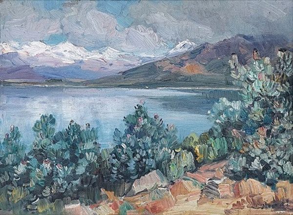 Brandvlei Dam, Worcester - view 1