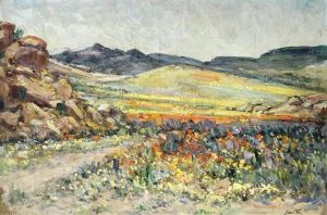 Namaqualand Flowers