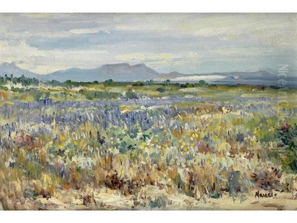 Minette, Namaqualand - view 1