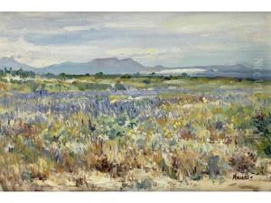 Minette, Namaqualand