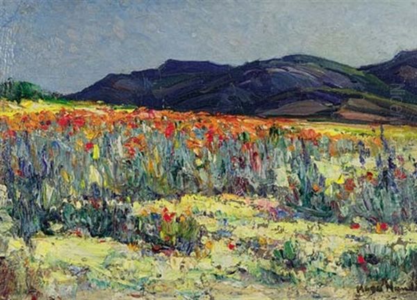 Spring In Namaqualand - view 1