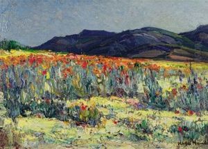 Spring In Namaqualand