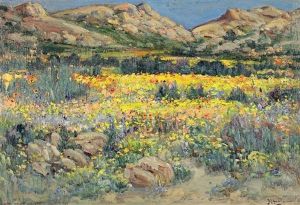 Namaqualand In Spring