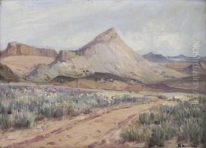 Namakwa Landscape