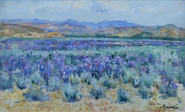 Namaqualand Landscape - view 1