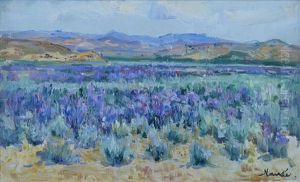Namaqualand Landscape