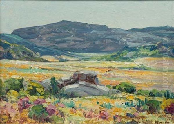 Namaqualand Landscape - view 1