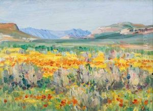 Springtime, Namaqualand