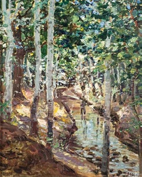 Goudini Woods - view 1