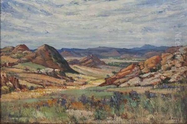 Namaqualand - view 1