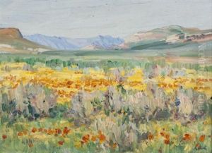 Namaqualand