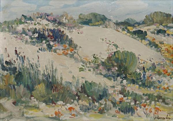 Sand Hills Near Darling - view 1