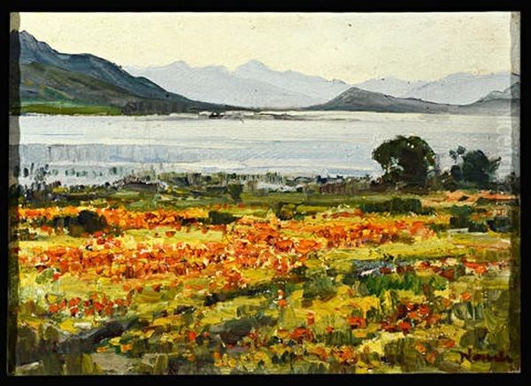 Coastal Scene Near Hermanus - view 1